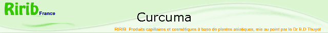 Curcuma